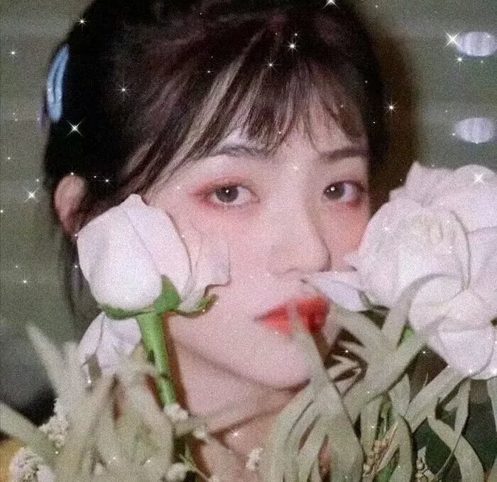 亲爱的总理